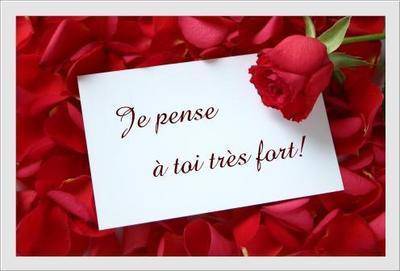 une rose