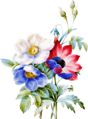 fleur